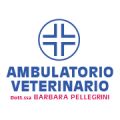Ambulatorio Veterinario Pellegrini